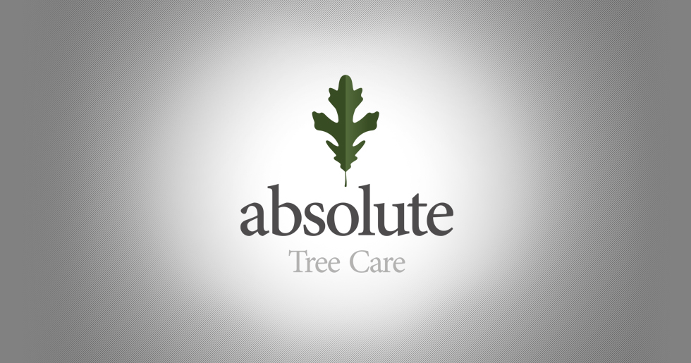 Absolute Tree Care Logo Design