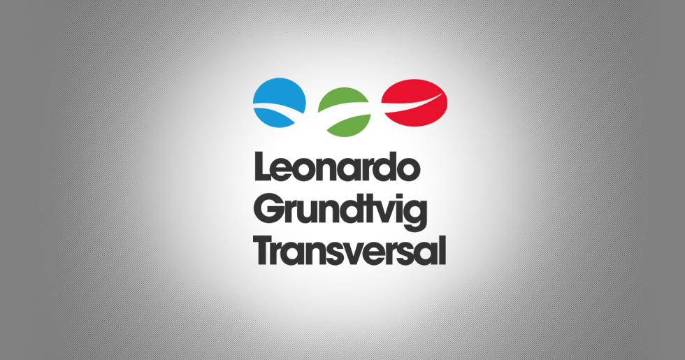 Lifelong Learning Programme Logo Design