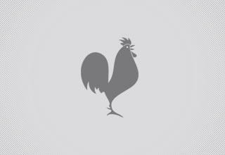 Birdy Blacksmiths Logo Design
