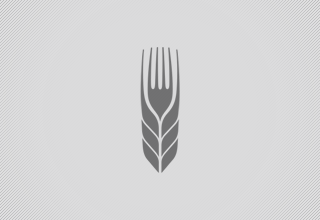 Farm to Fork Logo Design