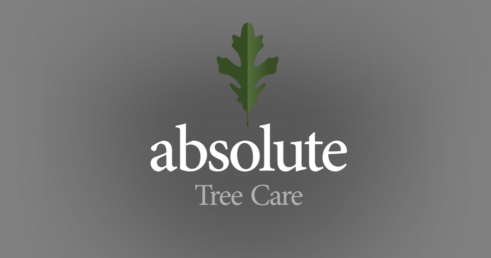Absolute Tree Care Logo Design
